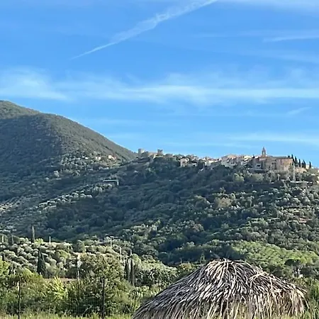 Elegante In Un Casolare Toscano 斯卡尔利诺