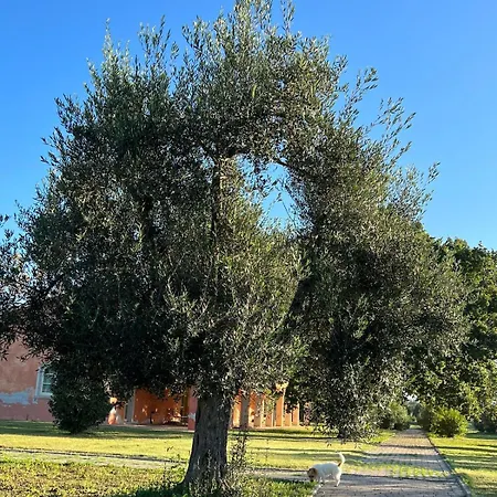 Elegante In Un Casolare Toscano 公寓