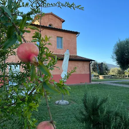 Elegante In Un Casolare Toscano 公寓 斯卡尔利诺