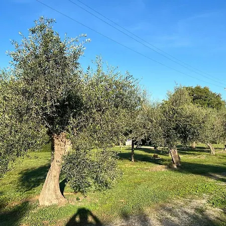 Апартаменты Elegante In Un Casolare Toscano